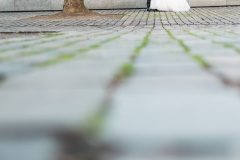 Hochzeit_Anne_u_Johannes_332
