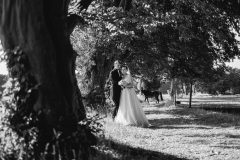 Hochzeit Franzi & Sascha
